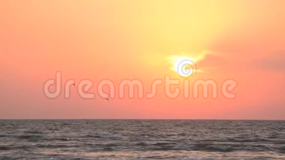 海鸥在海上日出的背景下飞翔视频的预览图