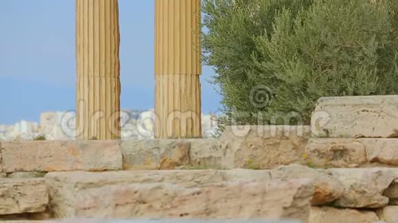 古代宫殿的垂直平底锅有高大的大理石柱观光旅游视频的预览图