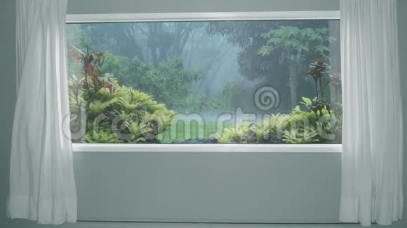 从带窗帘的窗户看森林里的热带雨林背景板彩色关键视频背景视频的预览图