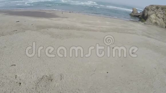沙滩上有人和狗在冲浪时奔跑的无人机视频的预览图