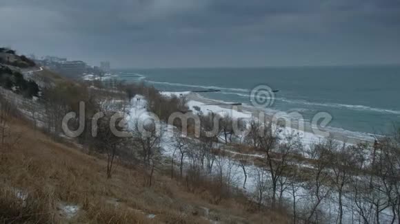 冬季海边的全景雪花落进相机慢动作视频的预览图