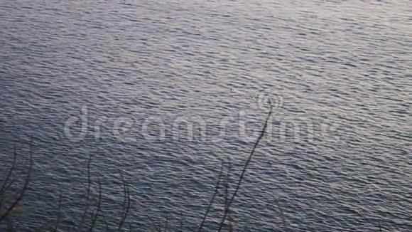 悬崖鸟在海洋上剪影视频的预览图