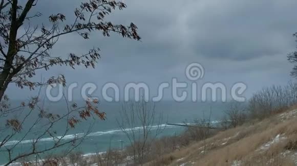 冬季海边的全景雪花落进相机慢动作视频的预览图
