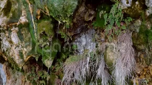 雨滴从美丽的岩石上流下来带着苔藓特写视频的预览图