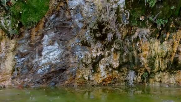 雨滴从山湖的岩石上流下来美丽的岩石与苔藓近景视频的预览图