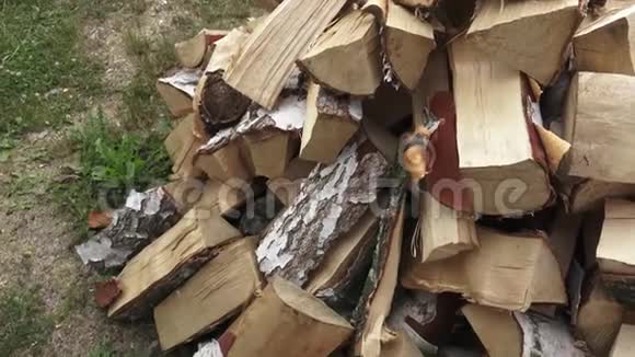 木材由桦木切割版本制成准备过冬的碎火柴堆视频的预览图