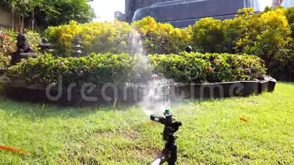 花园中用于浇灌植物的弹簧水系统4k超高清视频的预览图
