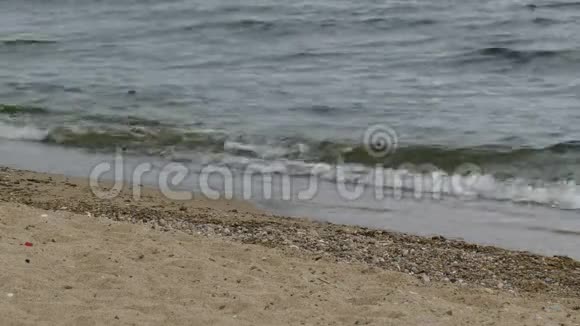 湖的沙质海岸夏季阴天贝加尔海上碧波荡漾视频的预览图