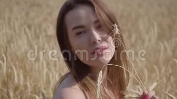 肖像迷人的年轻女子享受大自然和阳光在麦田难以置信的彩色阳光可爱视频的预览图