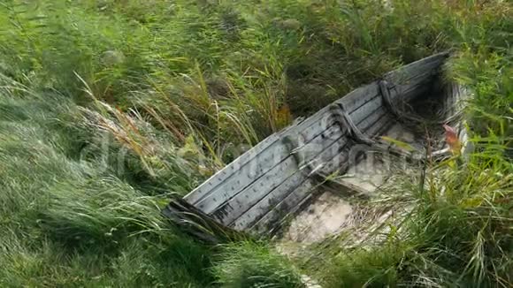 破旧的木船躺在灌木丛中视频的预览图