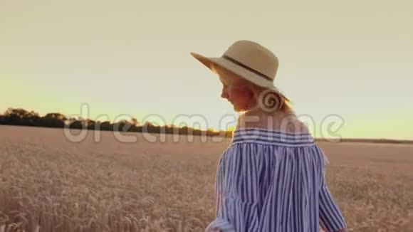后景一位戴着帽子的年轻女子正在麦田里散步高兴地向前走微笑着视频的预览图