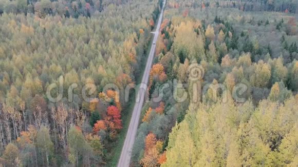 美丽的秋天森林有碎石路和汽车空中视频的预览图