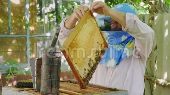 老年日记在家庭日记上工作用蜂蜜把蜜蜂从框架上抖下来蜜蜂愤怒地掩护自己视频的预览图