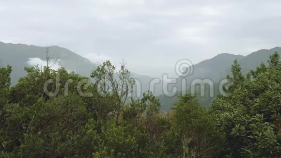 马德拉岛上布满雾的峡谷景观视频的预览图