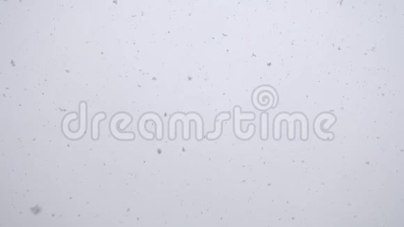 无缝视频冬日雪花飘落视频的预览图