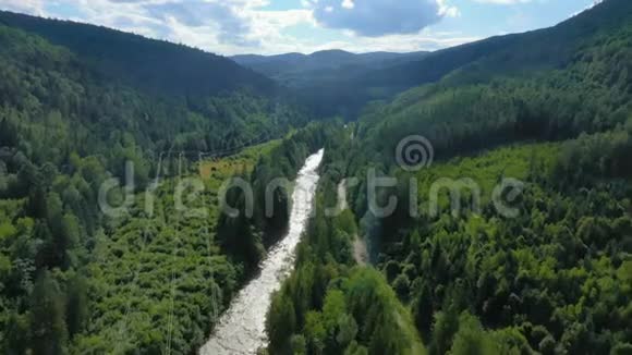 美丽的山河穿过松林视频的预览图