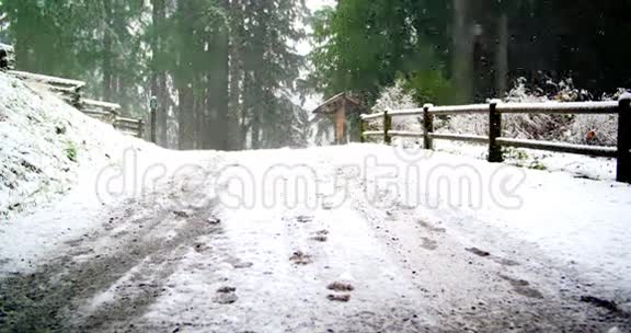 道路和树木覆盖着雪视频的预览图