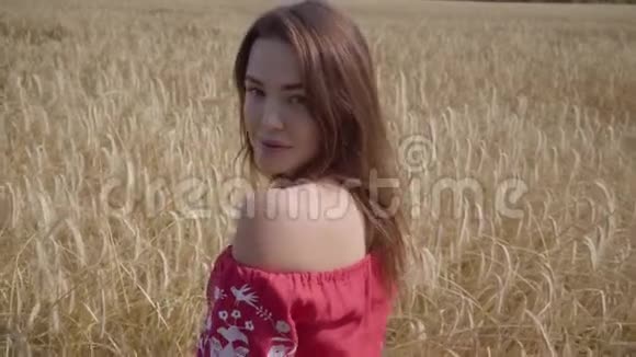肖像迷人的年轻女子享受大自然和阳光在麦田难以置信的彩色阳光可爱视频的预览图