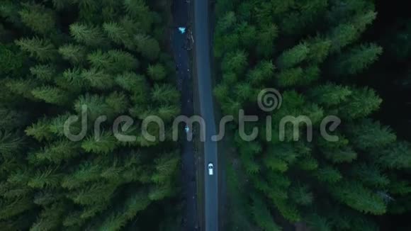 山岭间针叶林道路上汽车骑行的鸟瞰图视频的预览图