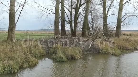 德国勃兰登堡哈维尔兰水道上的水上海狸小屋视频的预览图