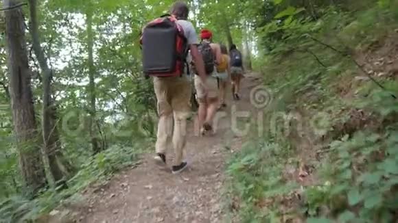 在森林里散步的年轻徒步旅行朋友小组带背包旅行的青少年的后后视图高清高清视频的预览图