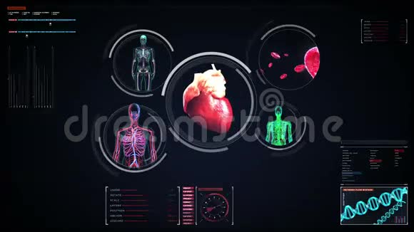 在数字显示中扫描血管淋巴心脏循环系统蓝色X射线视图视频的预览图