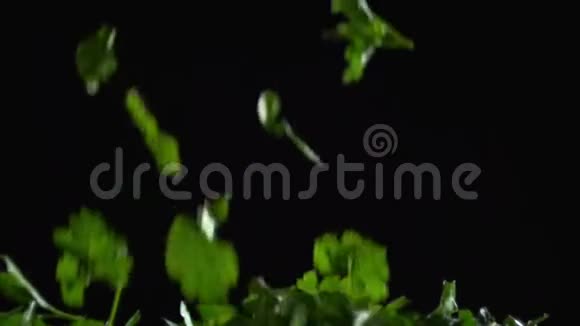 欧芹的叶子落在黑色的背景上视频的预览图