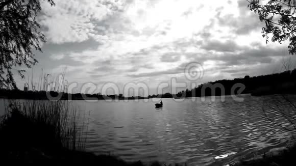 泛舟湖岸视频的预览图