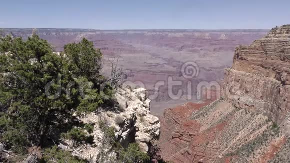亚利桑那州大峡谷在岩石组和树木之间的峡谷景观视频的预览图