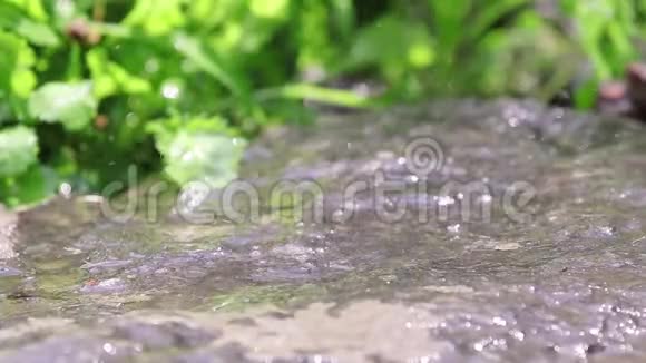 雨点落在花园里的花岗岩上水滴滴在潮湿的石头上视频的预览图