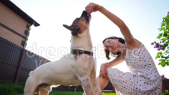 友谊和宠物的概念快乐的年轻女人和狗在草地上玩视频的预览图