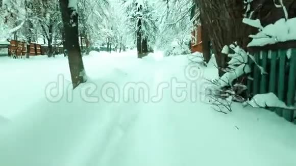 波夫在大雪过后沿着俄罗斯村庄的雪道行走视频的预览图