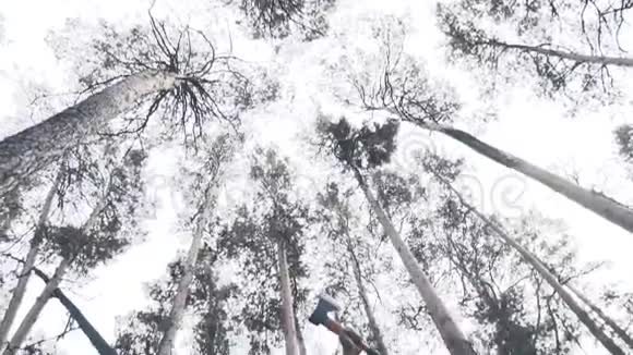 伐木工人拿着斧头和电锯站在森林里视频的预览图