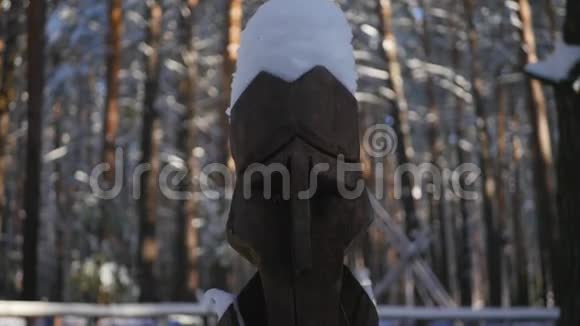 雪地里的木制雕像视频的预览图