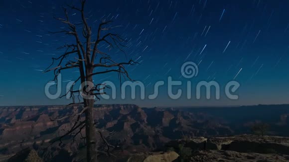美国大峡谷有星星小径的夜山景观时光流逝视频的预览图