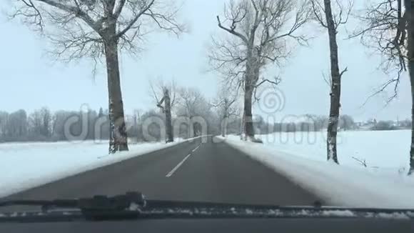 汽车行驶在结冰的冬季道路和结霜的树木小巷4K视频的预览图