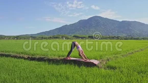 天桥旋转女孩做瑜伽在稻田视频的预览图