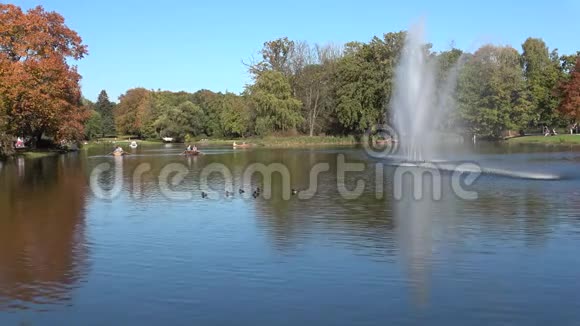 公园里的小湖湖上游动的野鸭视频的预览图