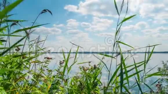 夏天的湖有草药有滑块视频的预览图