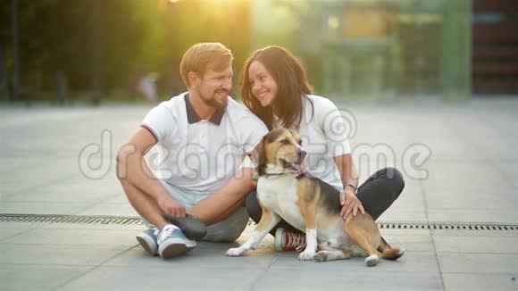 美丽的夫妇坐在地上在夏天日落与比格犬幸福家庭肖像视频的预览图