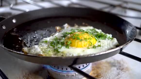 食物厨房早餐热鸡蛋烹饪休息关门视频的预览图