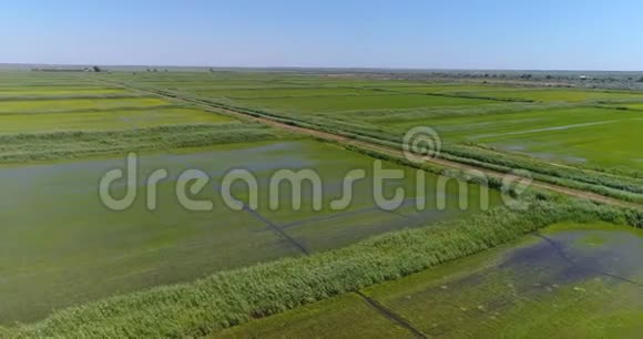 水稻种植绿田景观视频的预览图