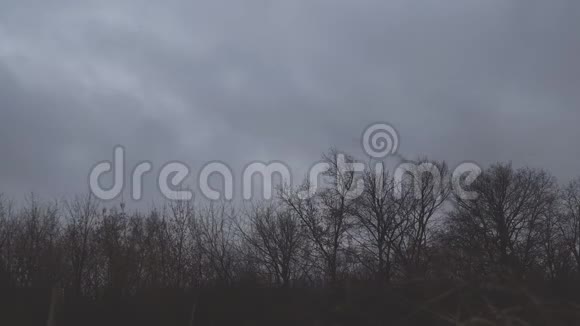 深秋的风暴云飞过秋林的光秃秃的树视频的预览图