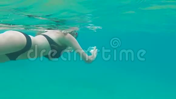 女人在神奇的海洋里浮潜视频的预览图