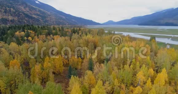 秋天森林和山脉的风景视频的预览图