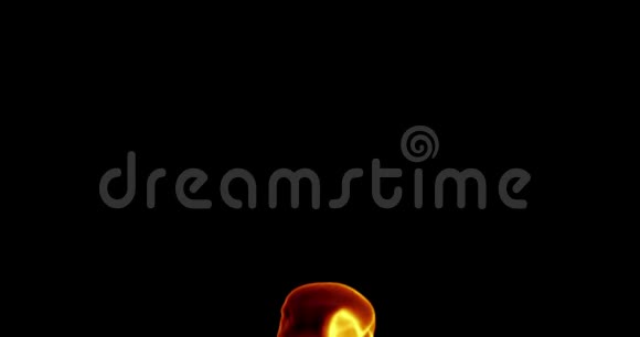 现实的火焰燃烧与灰升运动框架在黑色背景阿尔法视频的预览图