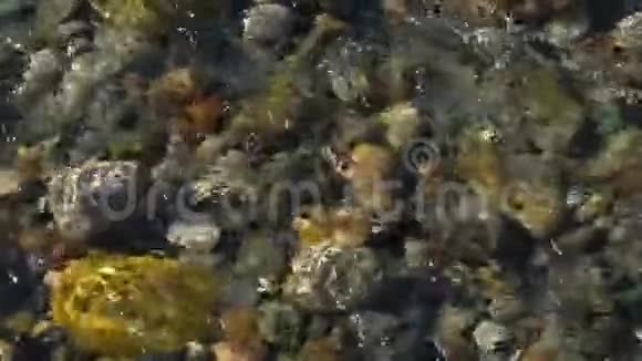 河流背景关闭石头在纯新鲜透明的山河水从上面看石头罐视频的预览图