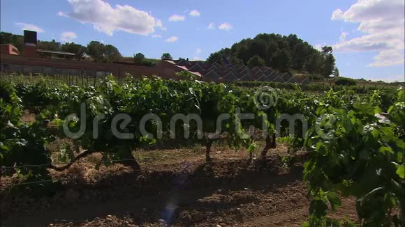 西班牙葡萄园Codorniu酒庄西班牙彭德斯视频的预览图