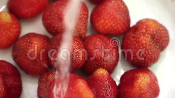 草莓在水全高清视频视频的预览图