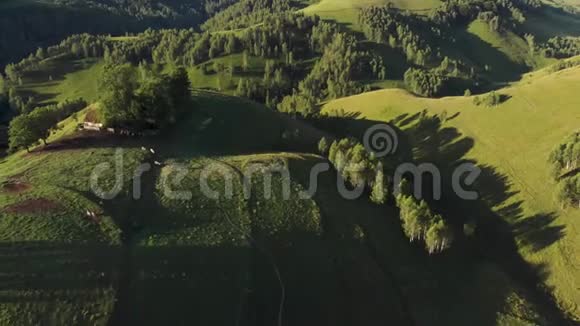 夏季青山之上的空中景色视频的预览图